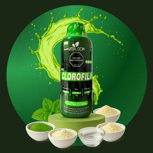 Clorofila x 1000ML